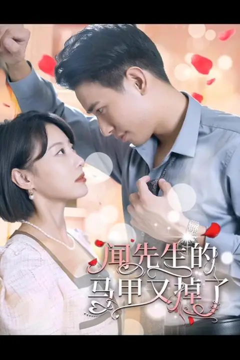 《闻先生的马甲又掉了》封面