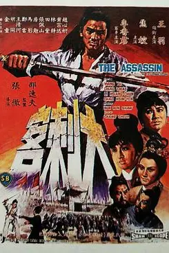 《大刺客》封面