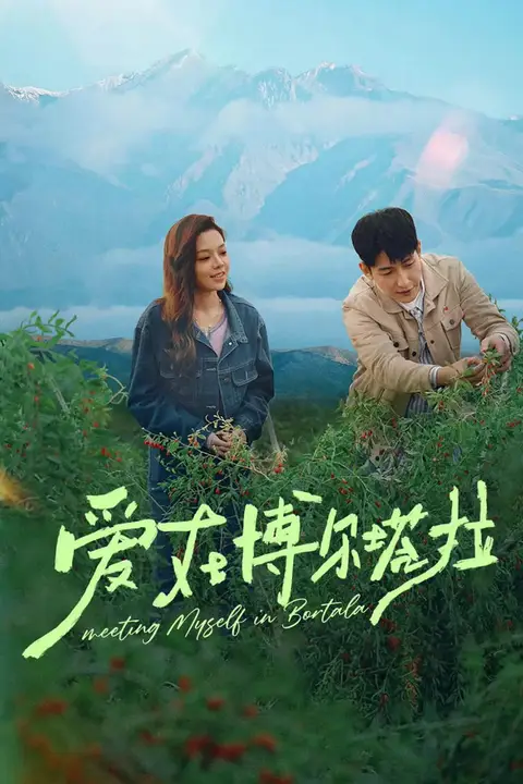 《爱在博尔塔拉》封面