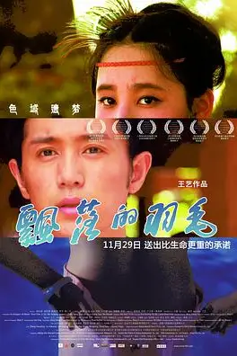 《飘落的羽毛》封面