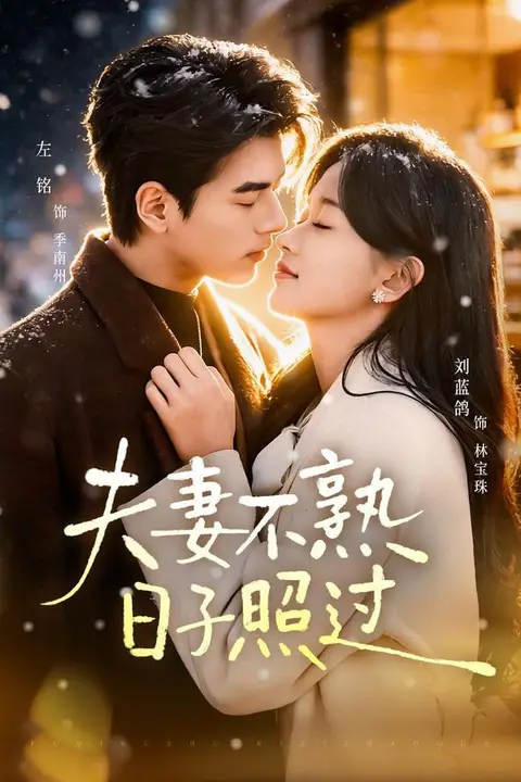 《夫妻不熟,日子照过》封面