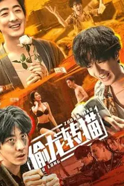 《偷龙转猫》封面