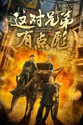 《这对兄弟有点彪》封面
