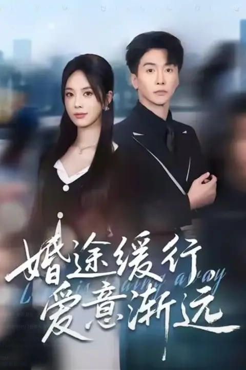 《婚途缓行，爱意渐远》封面