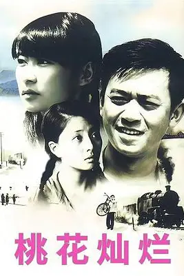 《桃花灿烂》封面
