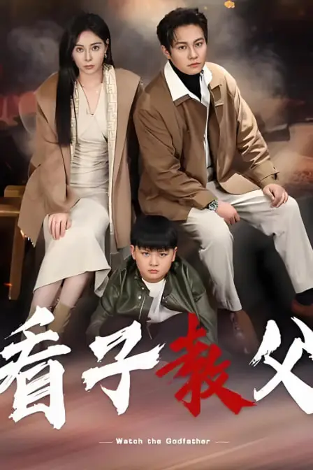《看子教父》封面