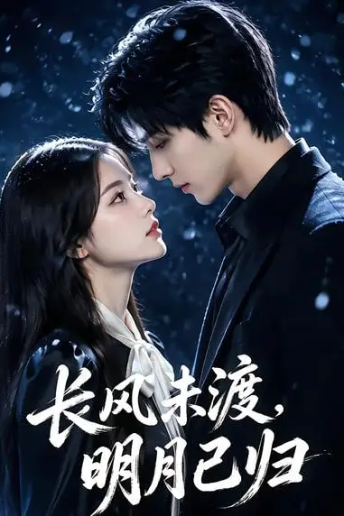 《长风未渡,明月已归》封面
