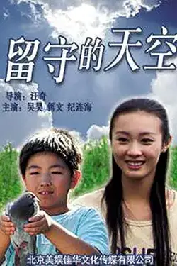《留守的天空》封面