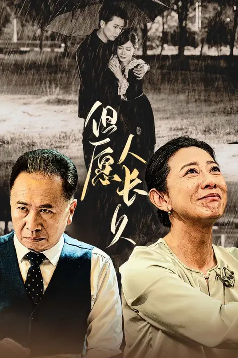 《但愿人长久》封面
