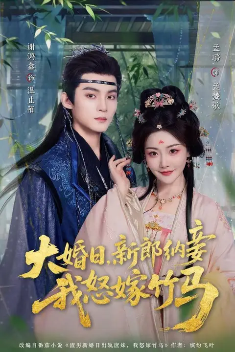 《大婚日,新郎纳妾我怒嫁竹马》封面