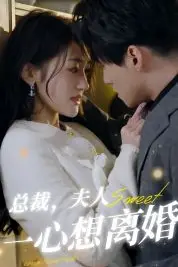 《总裁,夫人一心想离婚》封面