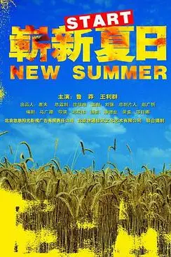 《崭新夏日》封面