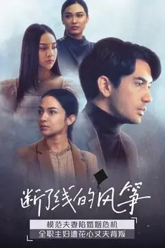 《断了线的风筝》封面