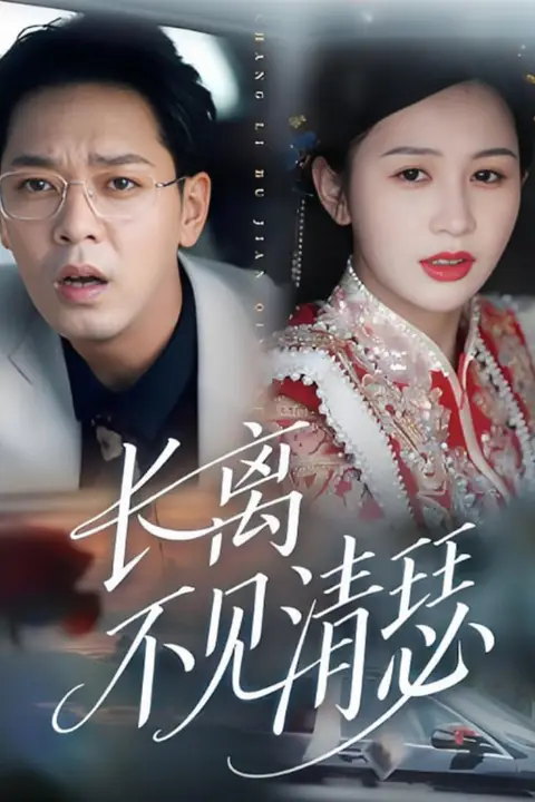《长离不见清瑟》封面