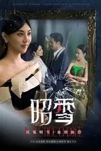 《昭雪》封面