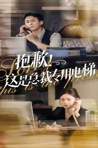 《抱歉这是总裁专用电梯》封面