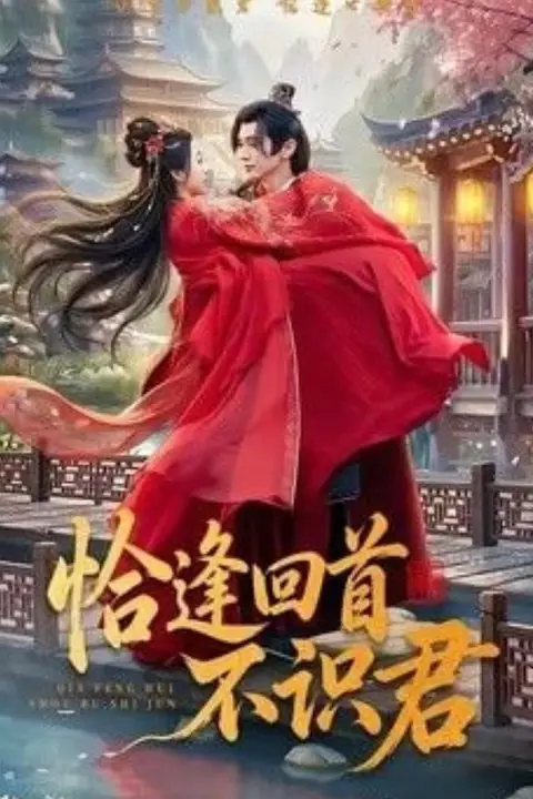 《恰逢回首不识君》封面