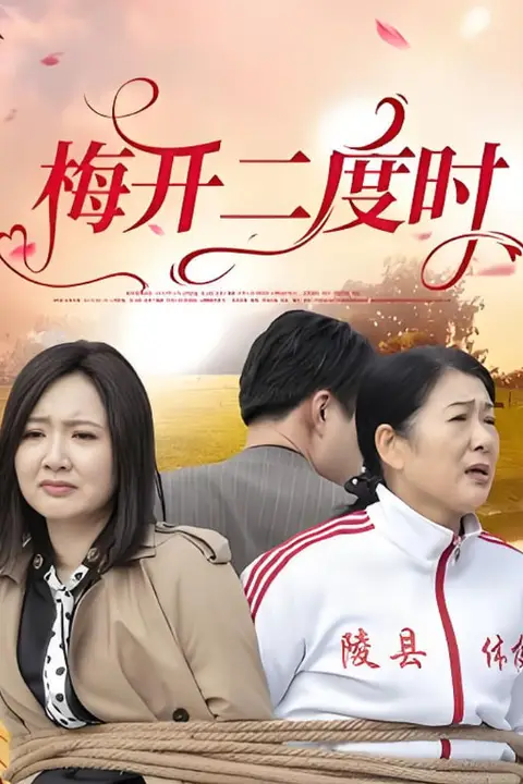 《梅开二度时》封面