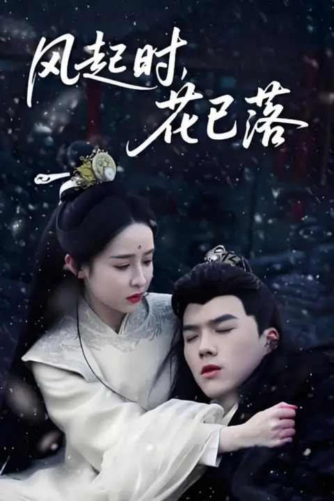 《风起时，花已落》封面