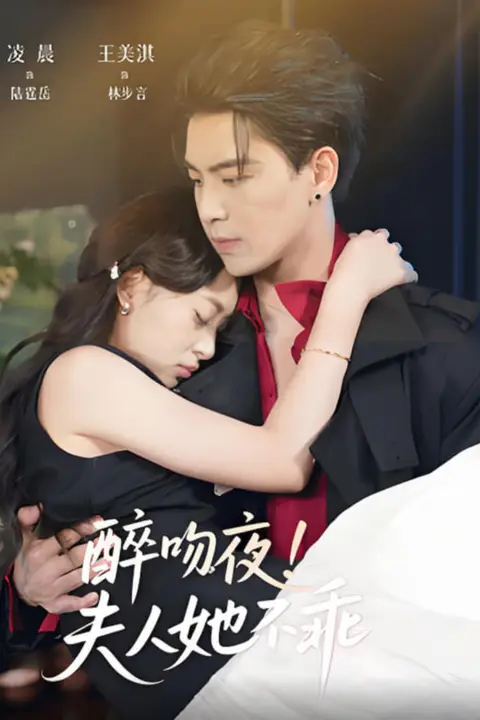 《醉吻夜夫人她不乖》封面