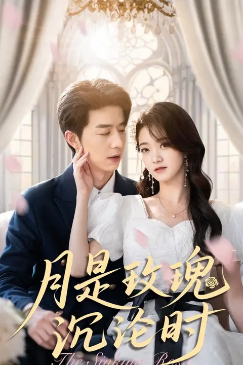 《月是玫瑰沉沦时》封面