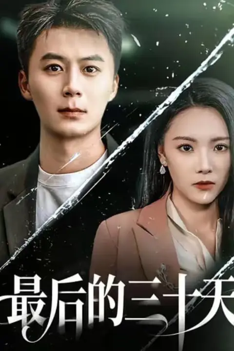 《最后的三十天》封面