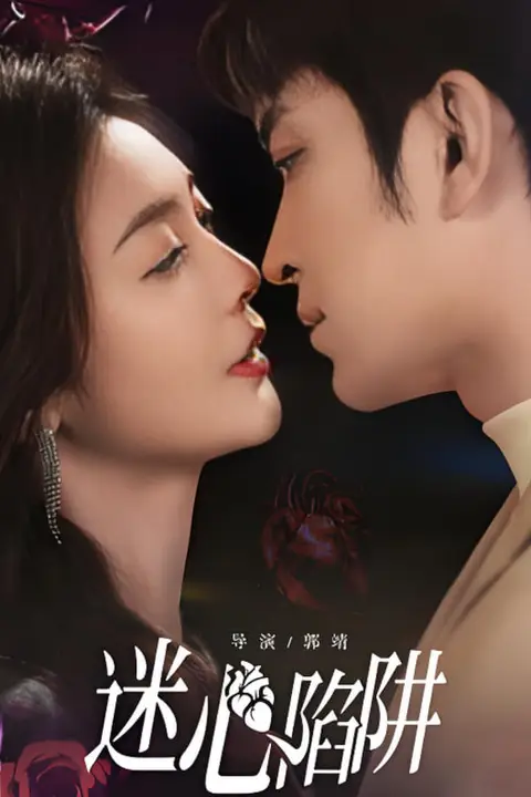 《迷心陷阱》封面
