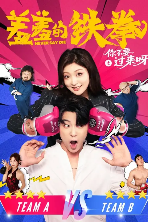 《羞羞的铁拳之你不要过来呀》封面