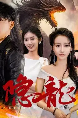 《隐龙记》封面