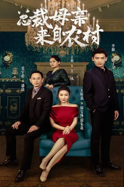 《总裁母亲来自农村》封面