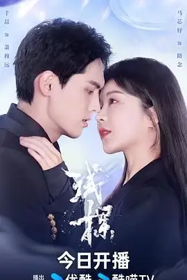 《试探》封面