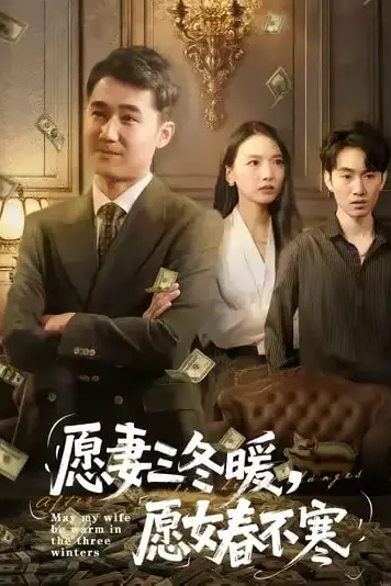 《愿妻三冬暖愿女春不寒》封面