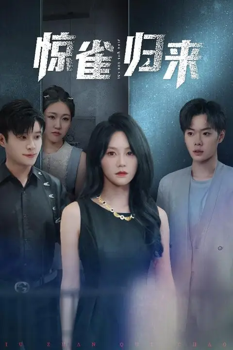 《惊雀归来》封面