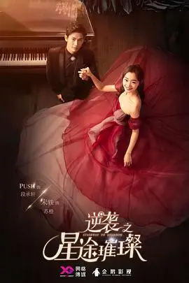 《逆袭之星途璀璨》封面