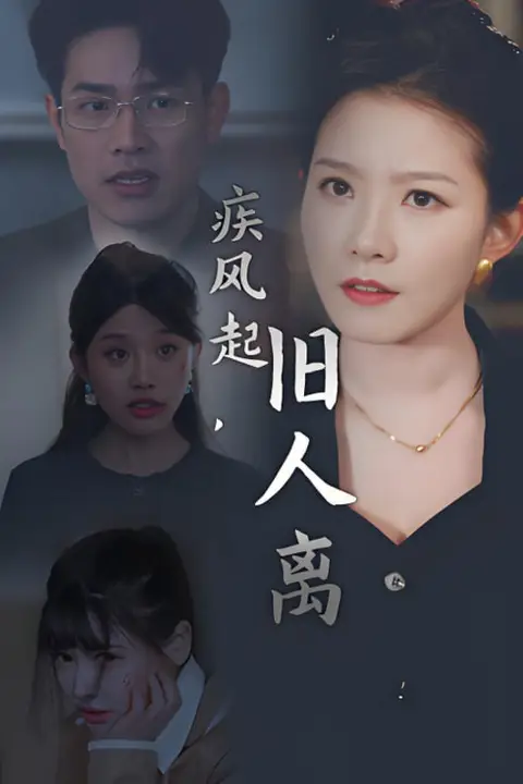 《疾风起旧人离》封面