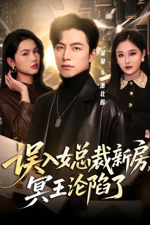 《误入女总裁新房,冥王沦陷了》封面