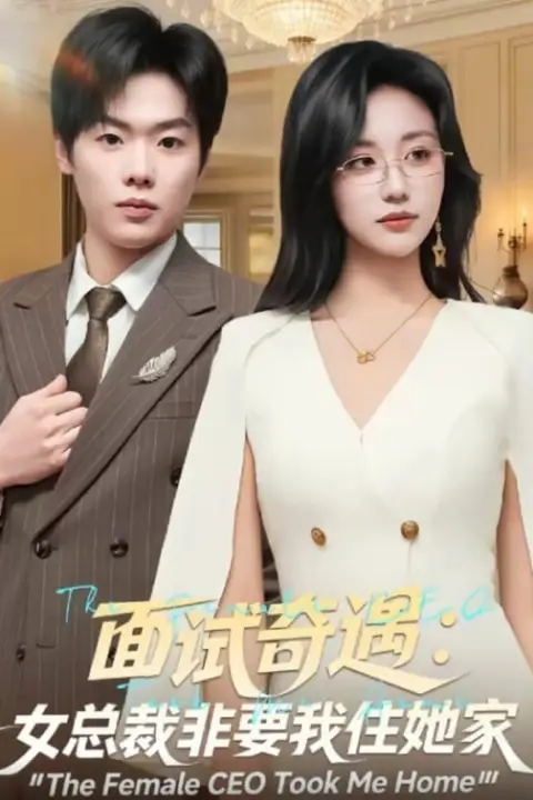 《面试奇遇：女总裁非要我住她家》封面