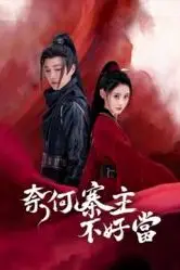《奈何寨主不好当》封面