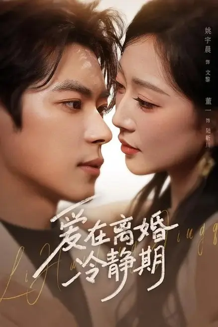 《爱在离婚冷静期》封面