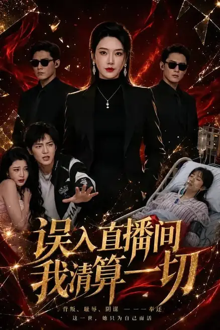 《误入直播间，我清算一切》封面