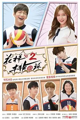 《花样排球 2》封面