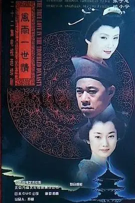 《风雨一世情》封面