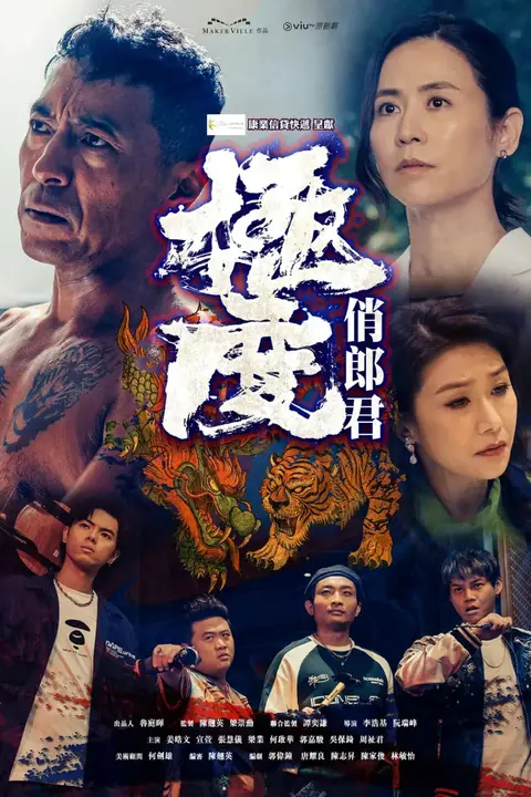 《极度俏郎君》封面