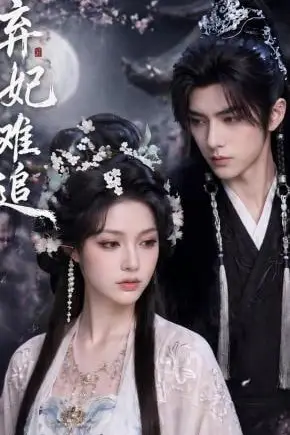 《弃妃难追》封面