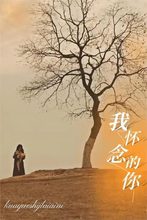 《我怀念的你》封面