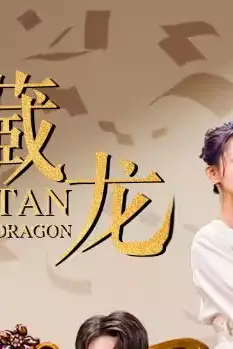 《藏龙》封面