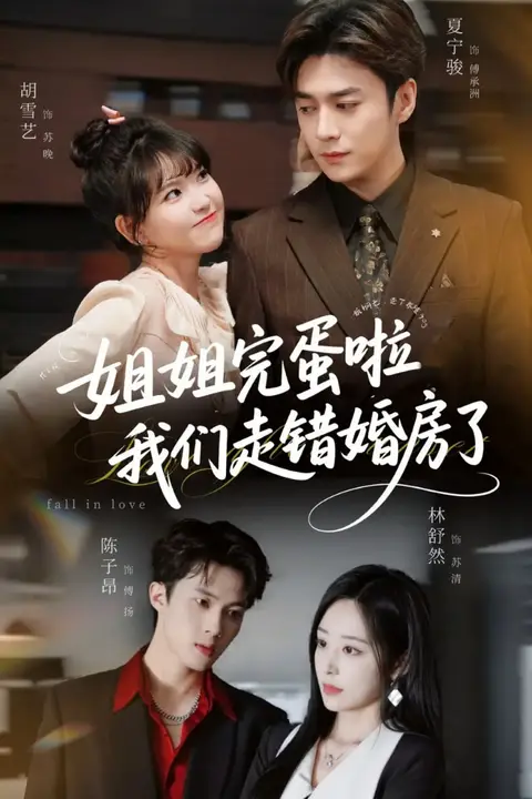 《姐姐完蛋啦我们走错婚房了》封面
