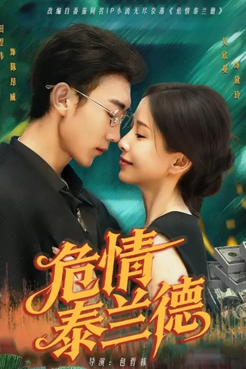 《危情泰兰德》封面