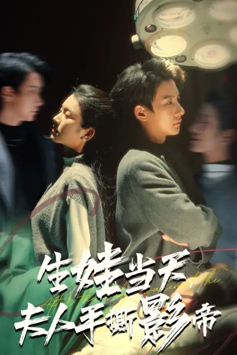 《生娃当天夫人手撕影帝》封面