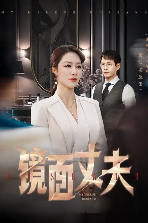 《镜面丈夫(完美复刻的陌生人)》封面